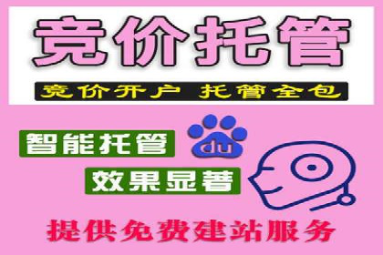 行业标杆：SEM托管公司案例解析